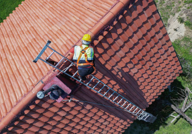 Best Asphalt Shingle Roofing  in Bridgeport, OH