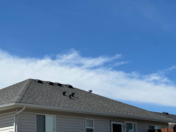 Best Cold Roofs  in Bridgeport, OH